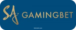 Gaming Bet Partner
